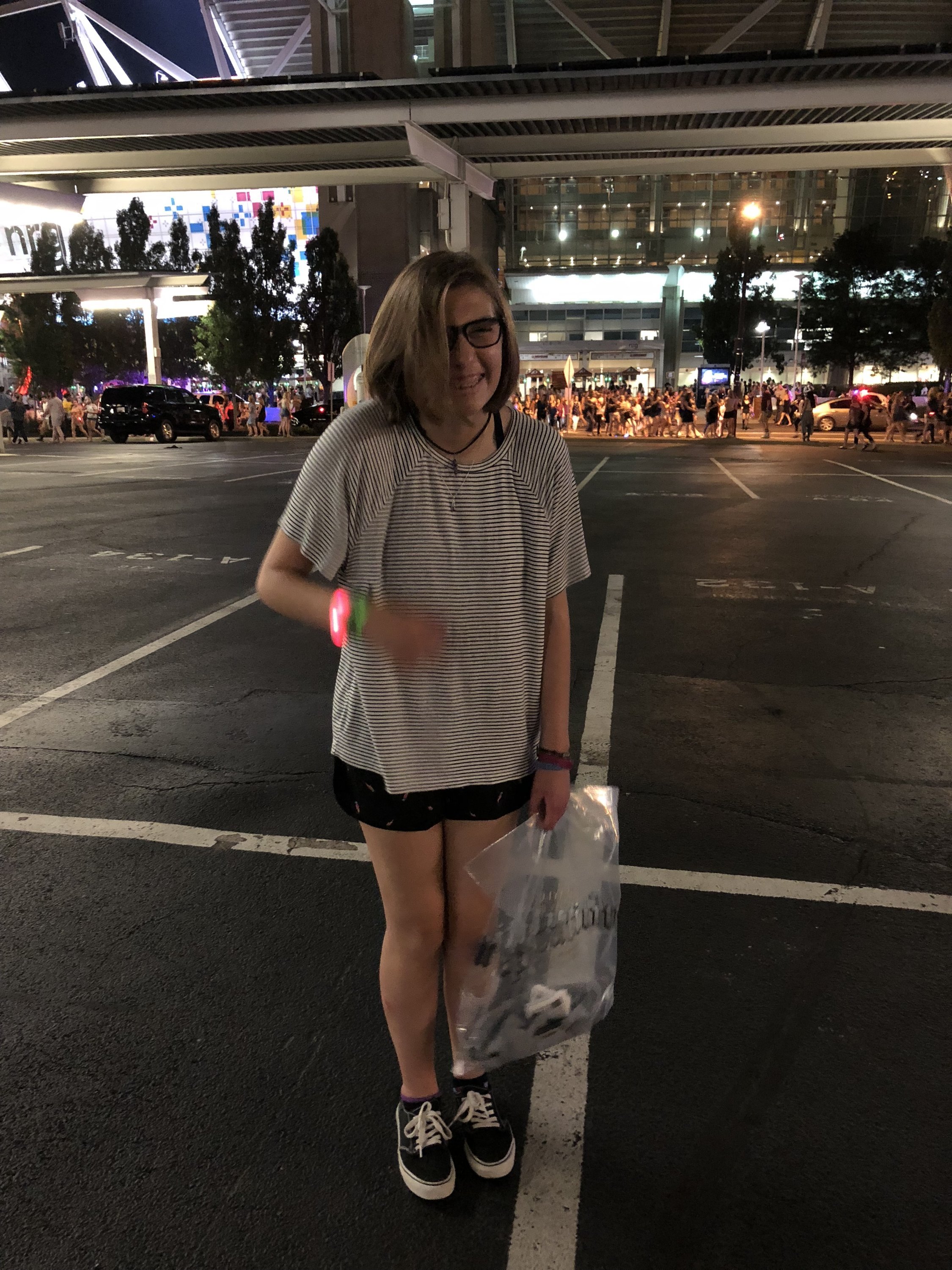 Taylor Swift Reputation Stadium Tour
