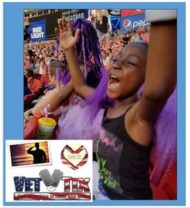 Taylor Swift Reputation Stadium Tour