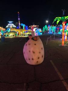 Lights of the World Lantern Festival - Arizona State Fairgrounds - Tickets Are Good for Any Day of Your Choice