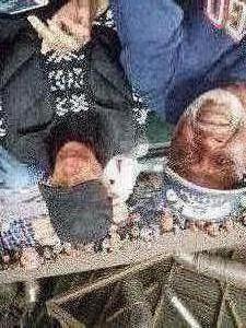 Indiana Pacers vs. Philadelphia 76ers - NBA