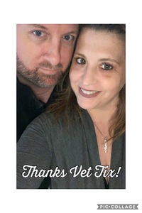 Disturbed: Evolution World Tour