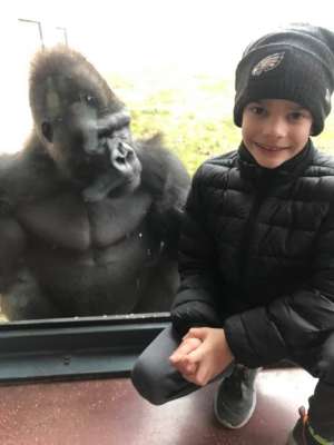 Philadelphia Zoo - * See Notes - Good for Any One Day Through December 30th, 2019