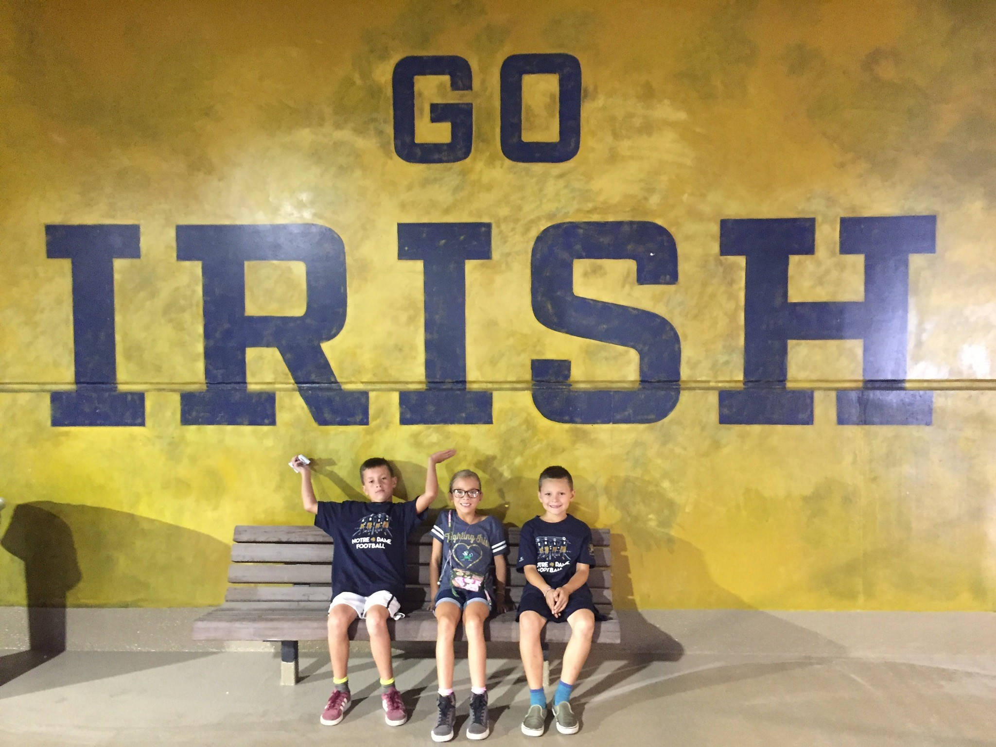 University of Notre Dame Fightin Irish vs. New Mexico - NCAA Football