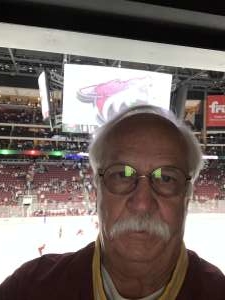 Arizona Coyotes vs. Minnesota Wild - NHL