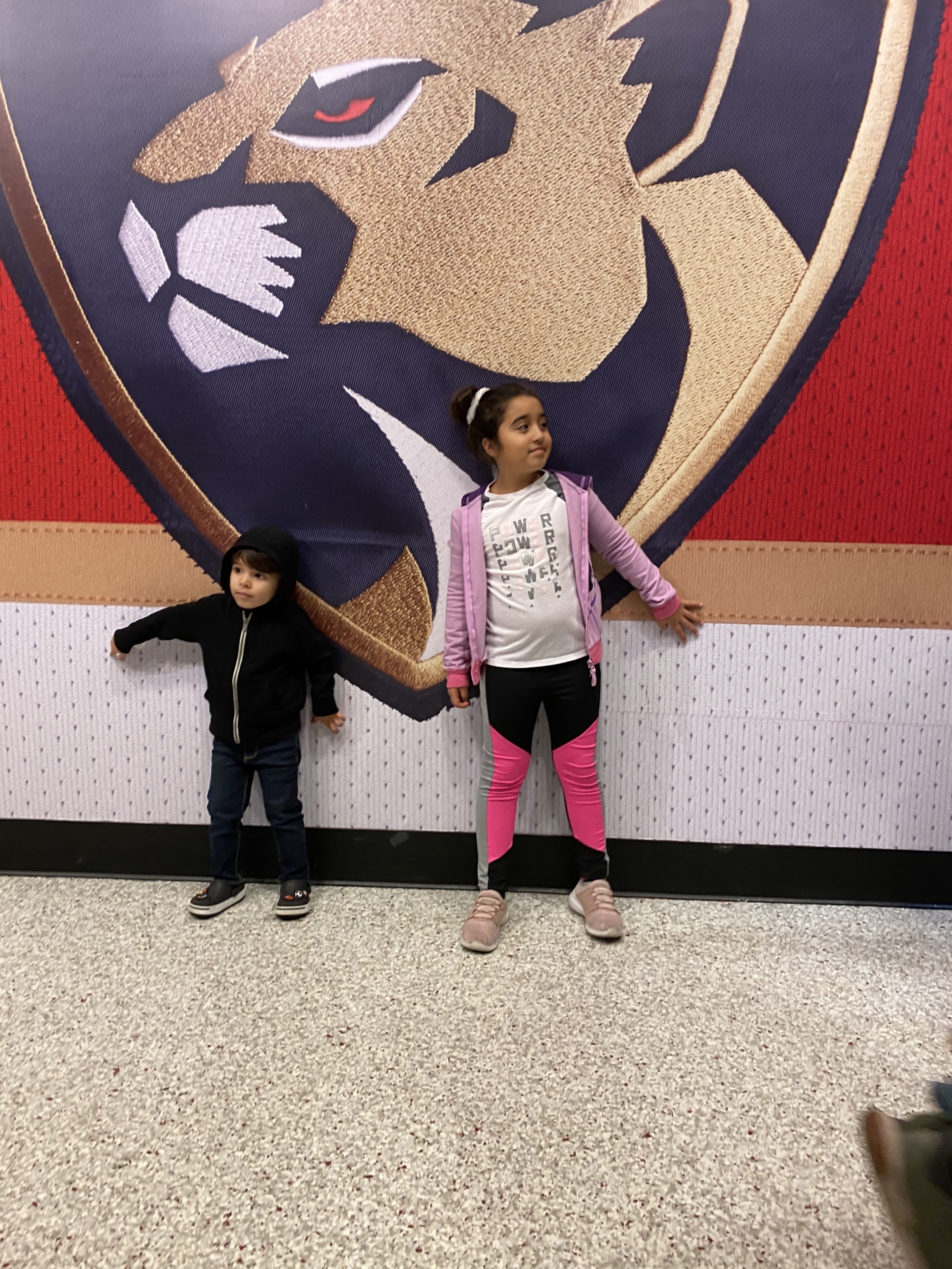 Florida Panthers vs. Arizona Coyotes - NHL
