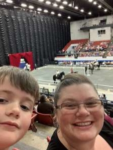 The Gala of Royal Horses