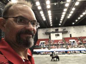 The Gala of Royal Horses