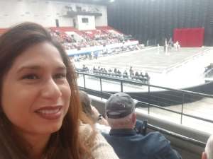 The Gala of Royal Horses