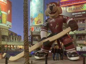 Arizona Coyotes vs. Florida Panthers - NHL