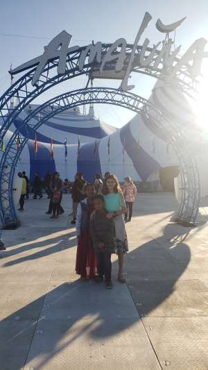 Cirque Du Soleil - Amaluna