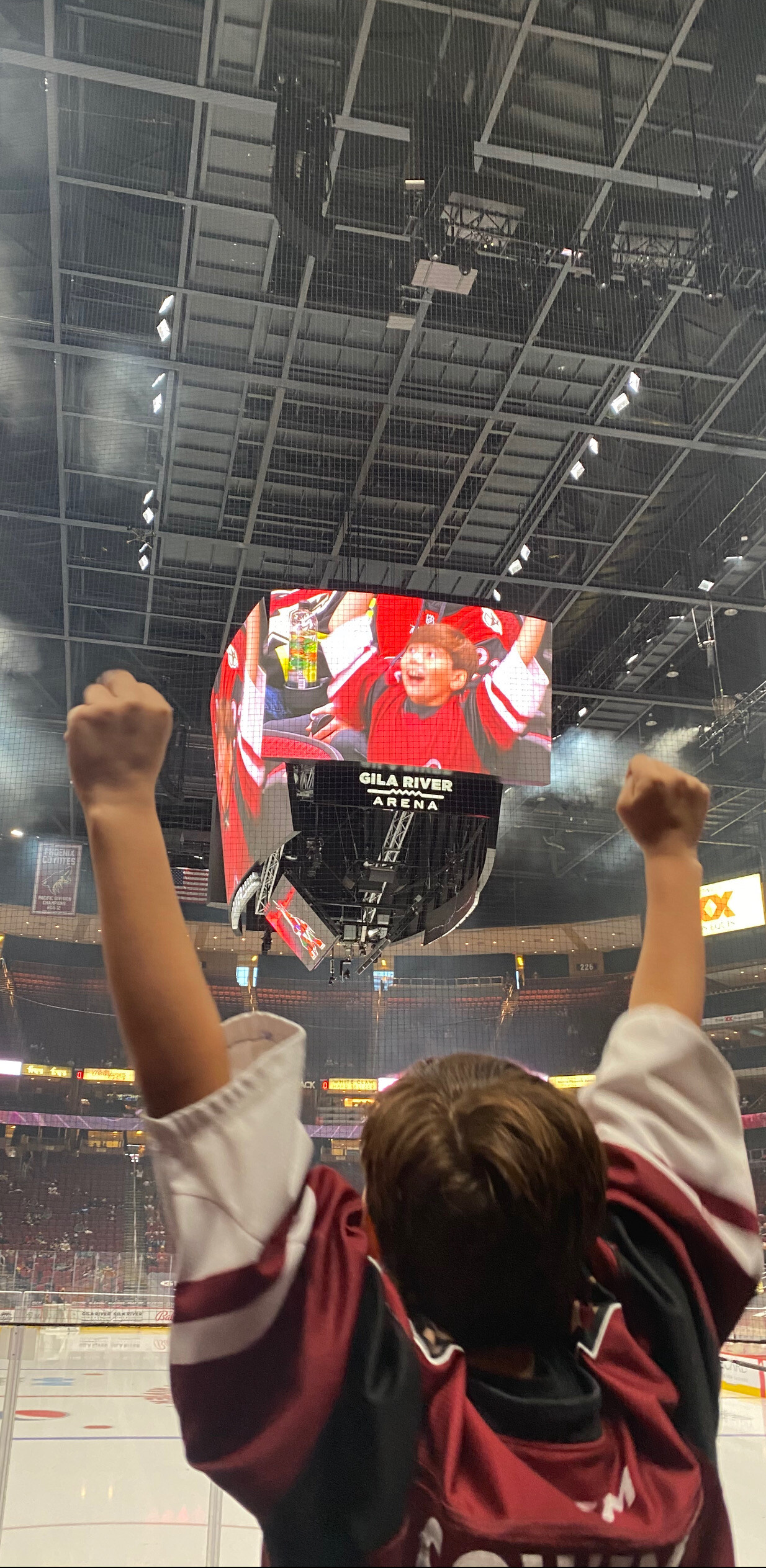 Arizona Coyotes vs. Vegas Golden Knights - NHL