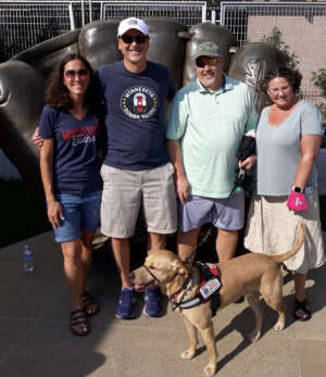 Minnesota Twins vs. Chicago White Sox - MLB