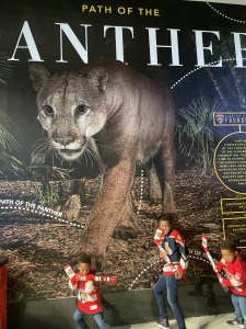 Florida Panthers vs. Pittsburgh Penguins - NHL