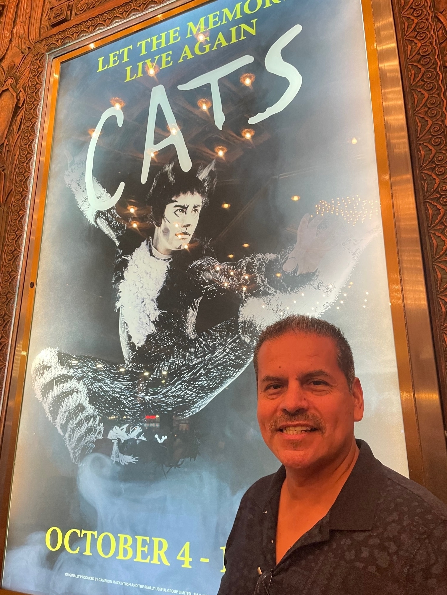 Cats (touring)