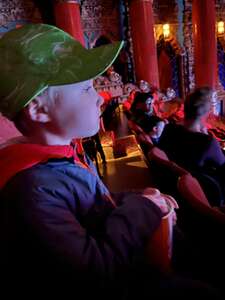 Paw Patrol Live: Heroes Unite