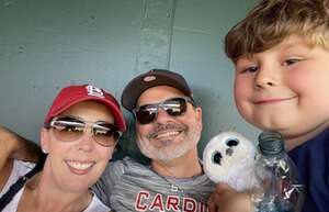 St. Louis Cardinals - MLB vs Detroit Tigers