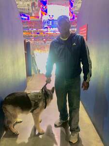 Washington Capitals - NHL vs New York Islanders