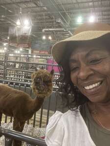 California State Fair - Mvfr Day