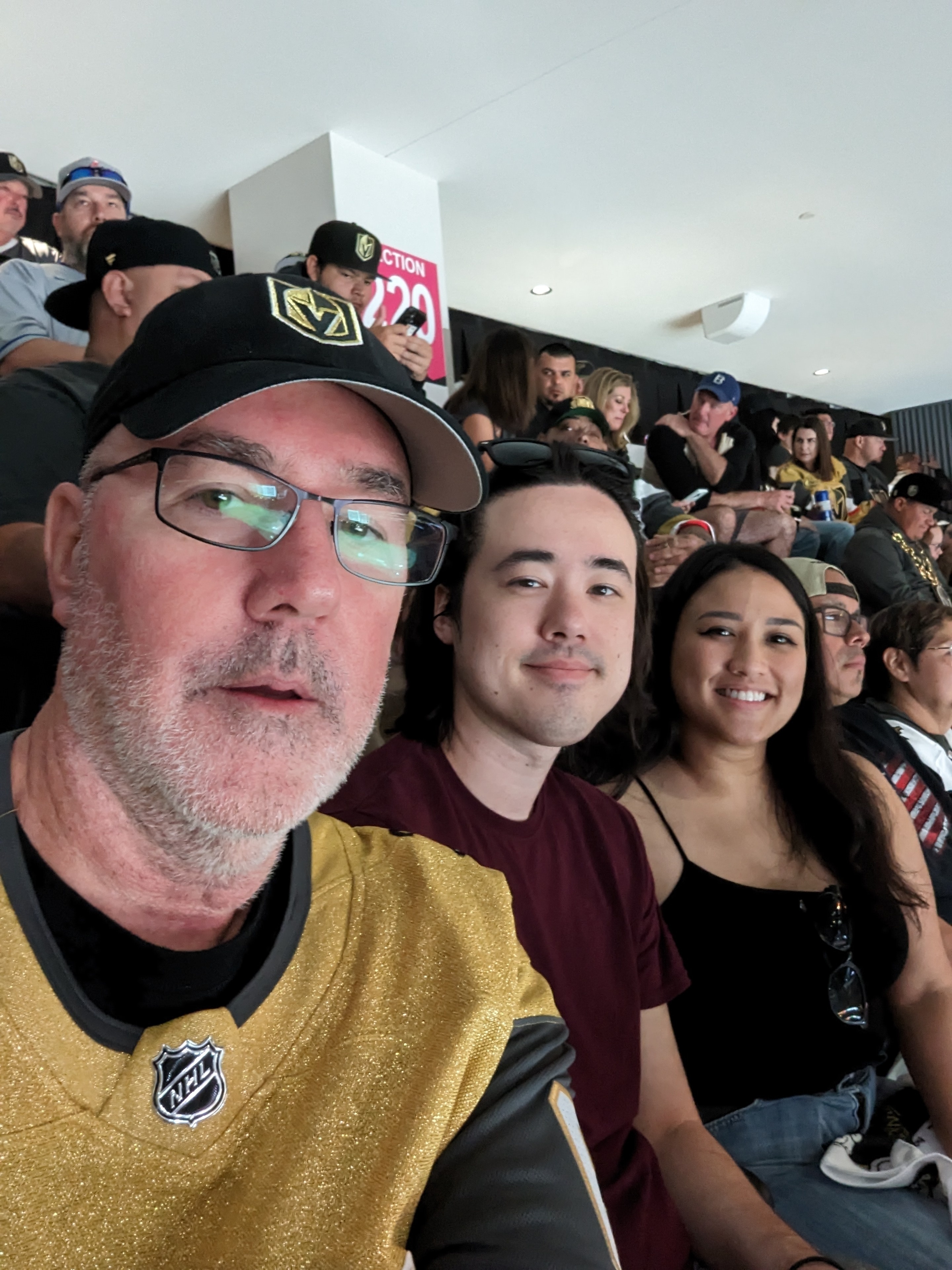 Vegas Golden Knights - NHL vs Dallas Stars