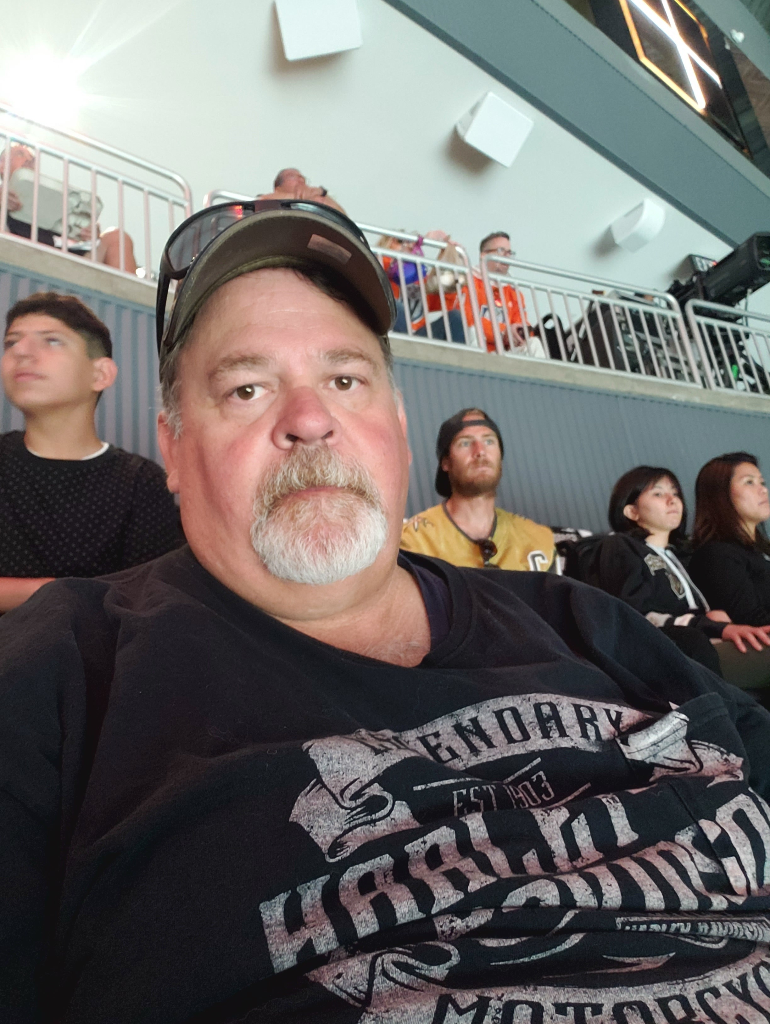 Vegas Golden Knights - NHL vs Dallas Stars