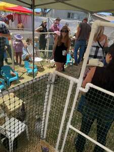 2023 California Rodeo