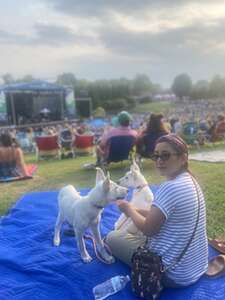 Goo Goo Dolls - the Big Night Out Tour