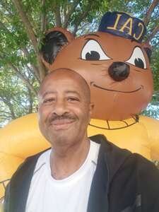 California Golden Bears - NCAA Football vs Auburn Tigers