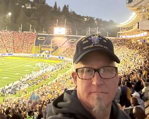 California Golden Bears - NCAA Football vs Auburn Tigers
