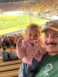 California Golden Bears - NCAA Football vs Auburn Tigers