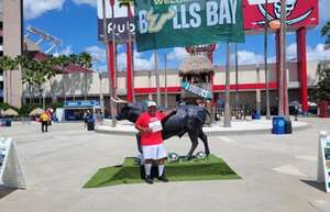 South Florida Bulls - NCAA Football vs Alabama Crimson Tide