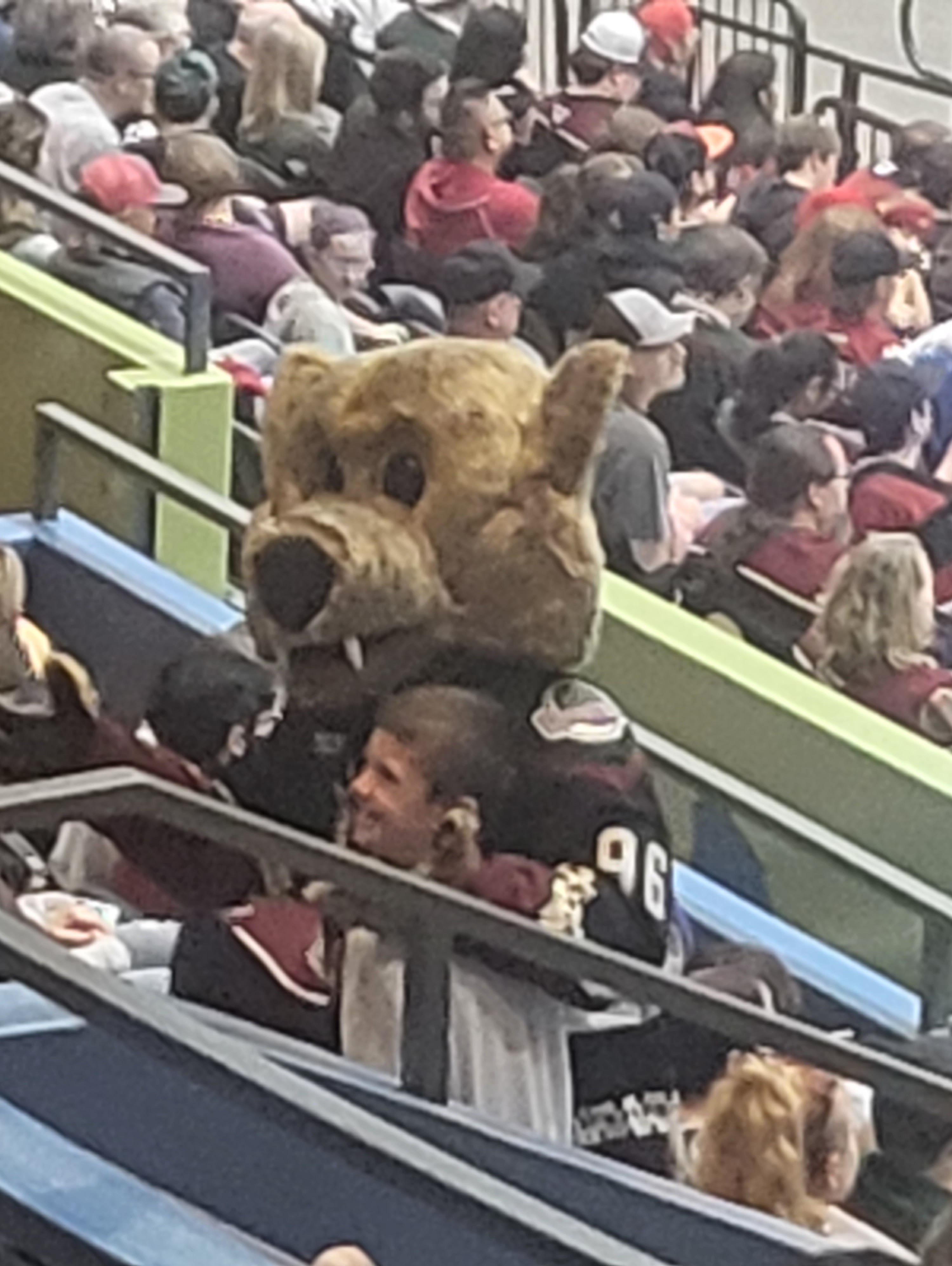 Arizona Coyotes - NHL vs Anaheim Ducks