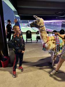 Las Vegas Lights FC - USL Championship vs San Diego Loyal SC