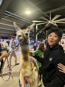 Las Vegas Lights FC - USL Championship vs San Diego Loyal SC