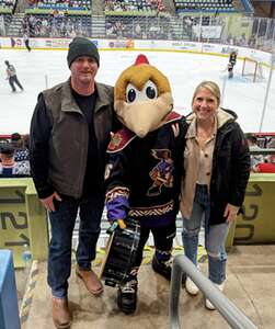 Tucson Roadrunners - AHL vs Iowa Wild