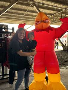 Louisville Cardinals - NCAA Football vs Virginia Tech Hokies