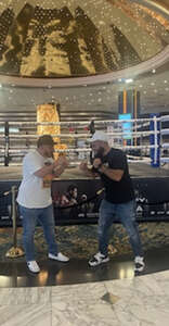 UFC 295: Prochazka vs. Pereira