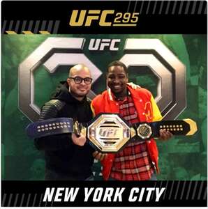 UFC 295: Prochazka vs. Pereira