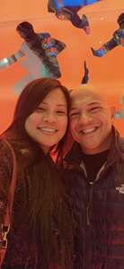 Cirque Du Soleil: the Beatles Love