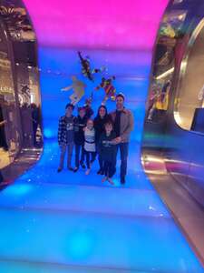 Cirque Du Soleil: the Beatles Love