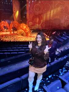 Cirque Du Soleil: the Beatles Love