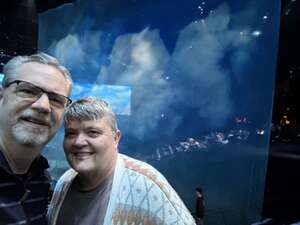 Cirque Du Soleil: the Beatles Love