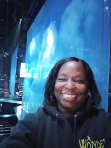 Cirque Du Soleil: the Beatles Love