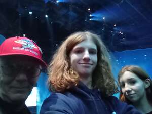 Cirque Du Soleil: the Beatles Love