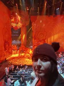 Cirque Du Soleil: the Beatles Love
