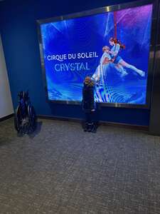 Cirque Du Soleil: Crystal