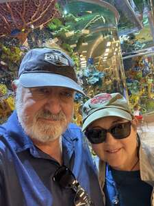 Barrett-jackson Scottsdale