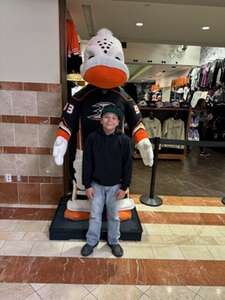 Anaheim Ducks - NHL vs Nashville Predators