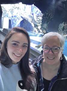 Cirque du Soleil: Crystal