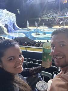 Cirque du Soleil: Crystal