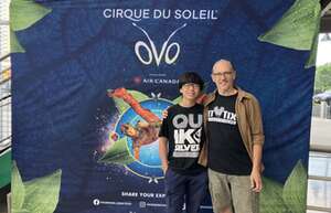 Cirque du Soleil: OVO